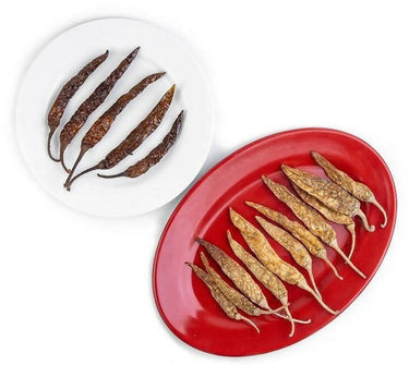 https://cdn.shopify.com/s/files/1/1857/6931/products/4p0RnOcU8x.jpg?v=1703308109